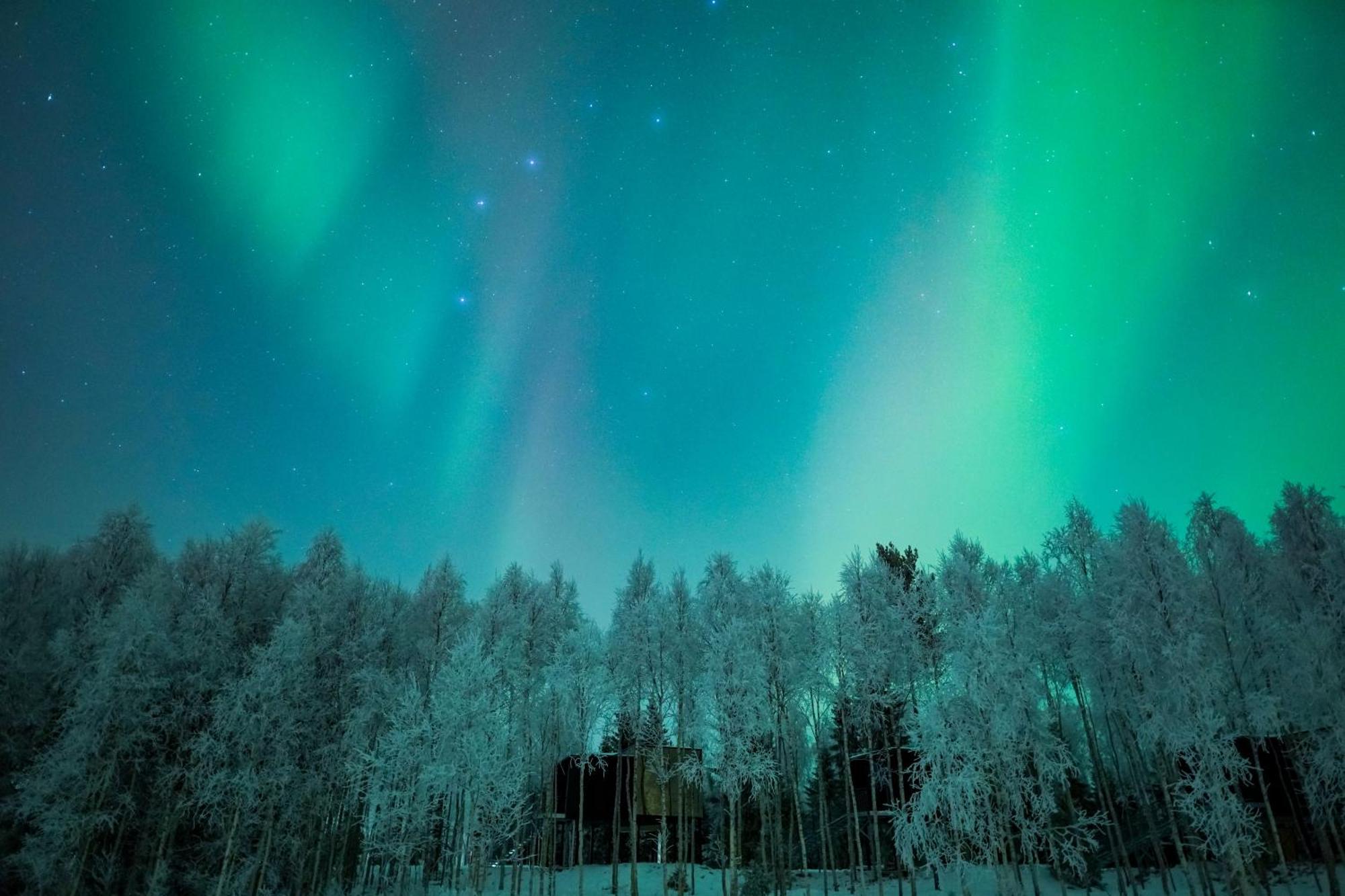 Silver Birch Resort Lapland 罗瓦涅米 外观 照片